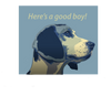 The Calming Companionship of Dogs
