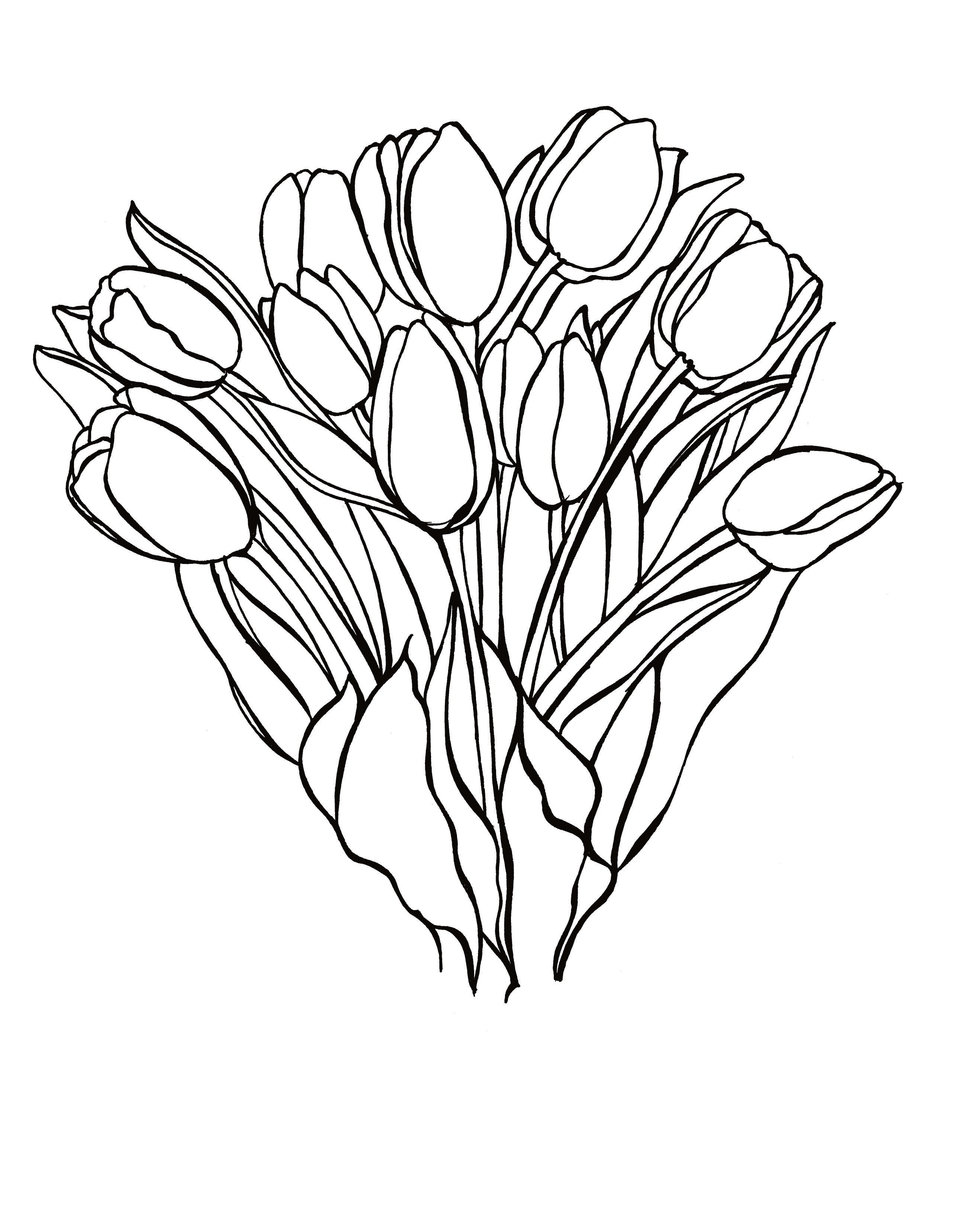 Free printable Netherlands tulips coloring page featuring a bouquet of Dutch tulip flowers with long stems and leaves: You-Color